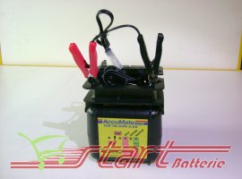 Accumate Pro 12V/24V 7A/3.5A